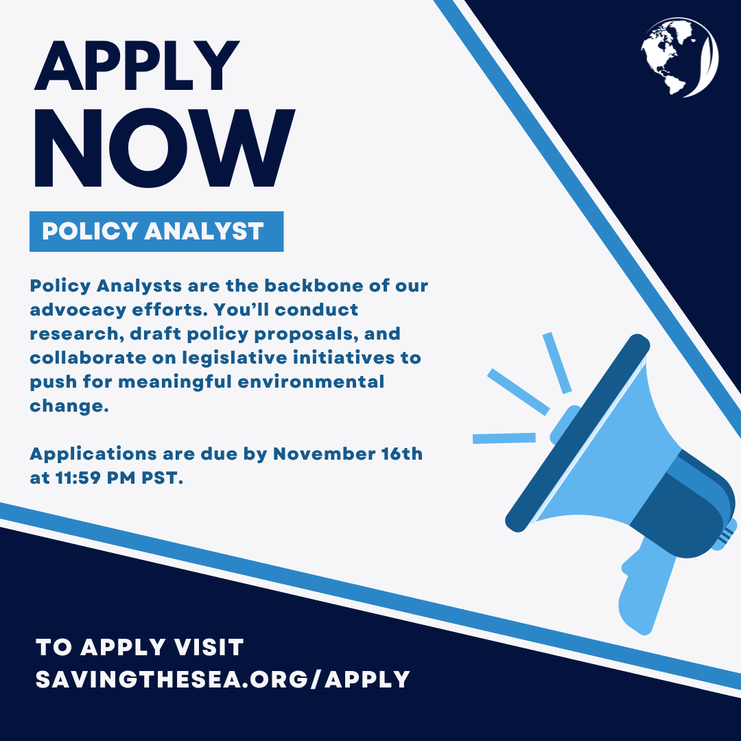 October 2025 Mid-Year Applications