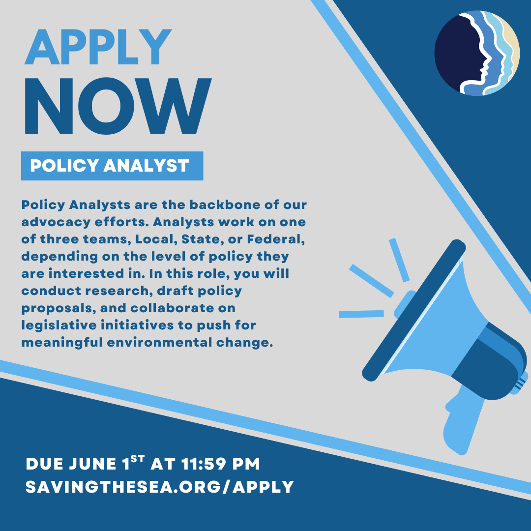 June 2026 Policy Analyst Applications